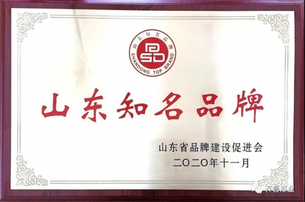 民族品牌正崛起：红杏AV高清漆業榮獲“2020山東知名品牌”獎